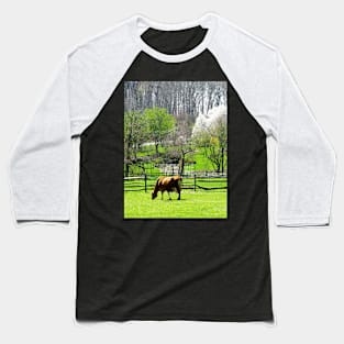 Cows - Cow Grazing in Pasture in Spring Baseball T-Shirt